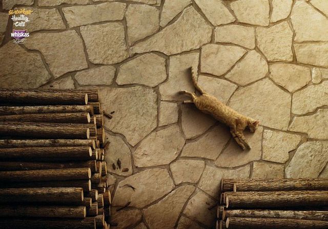 Daily picdump (132 pics)