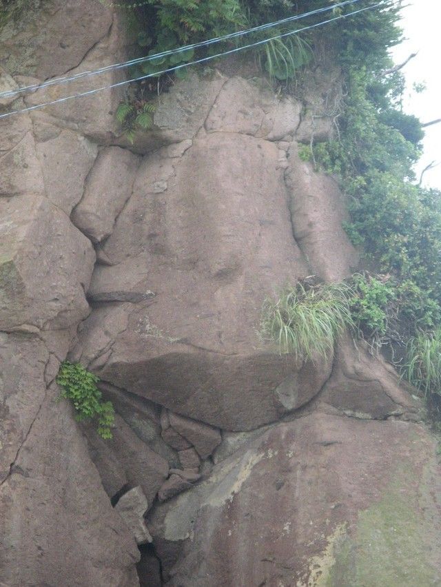 Daily picdump (132 pics)