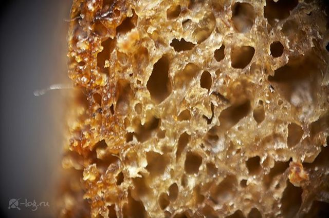 Close-up photography of vegetables, fruits and some objects (18 pics)