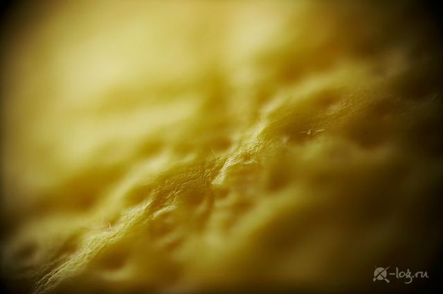 Close-up photography of vegetables, fruits and some objects (18 pics)