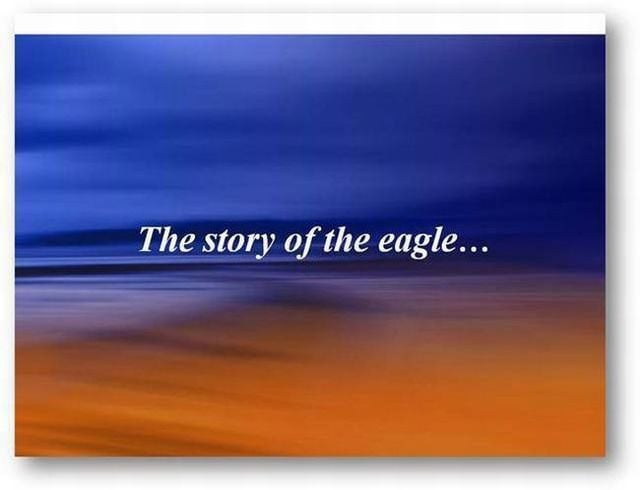 You should know the truth - Life of an eagle (13 pics)