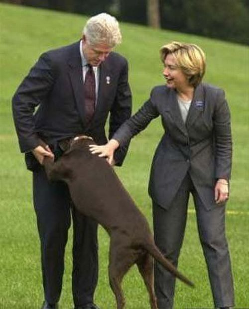 Politics is a delicate thing (51 pics)