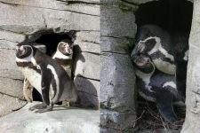 Curiosities and bonus pictures