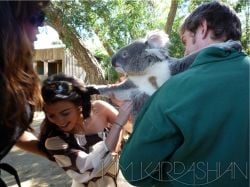 Curiosities and bonus pictures