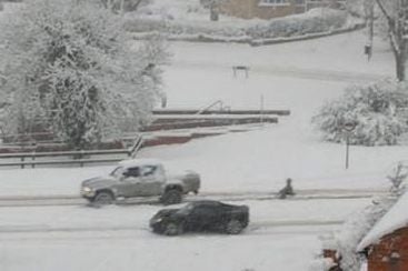 Curiosities and bonus pictures