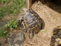 Curiosities and bonus pictures