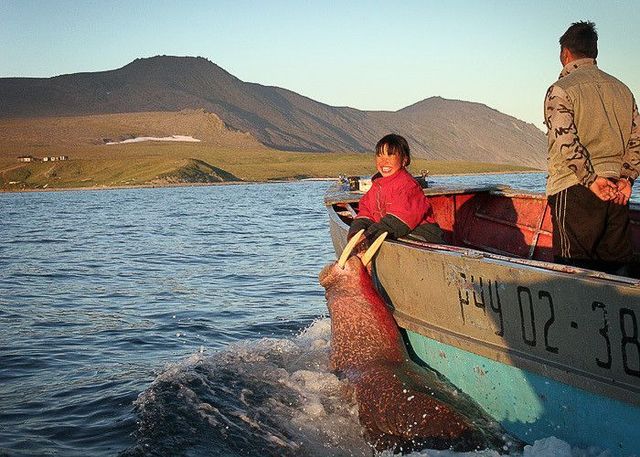 Daily picdump (127 pics)