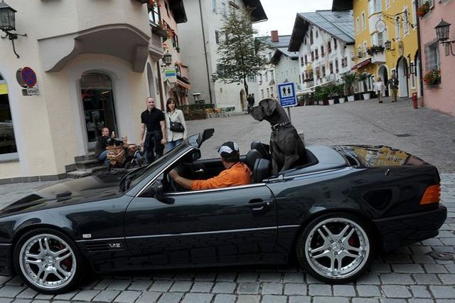 Daily picdump (127 pics)