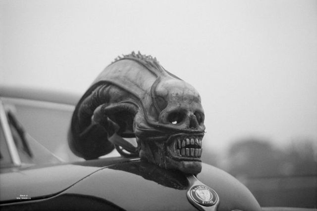 Daily picdump (126 pics)