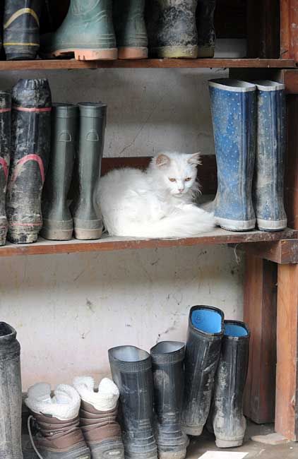 Daily picdump (126 pics)