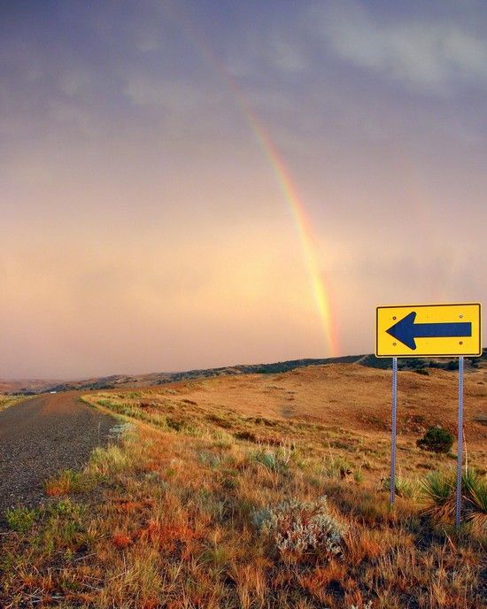 Daily picdump (126 pics)