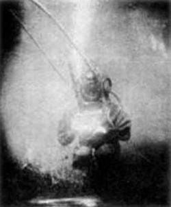 Curiosities and bonus pictures Curiosities and bonus pictures