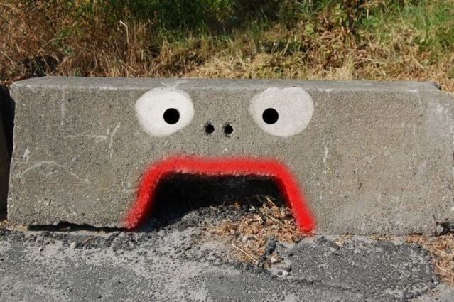 Pictures sent by users (40 pics)