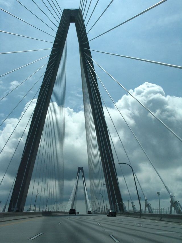 Pictures sent by users (40 pics)