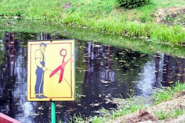 Pictures sent by users (40 pics)