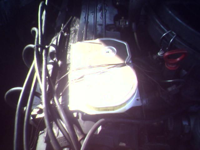 Pictures sent by users (40 pics)