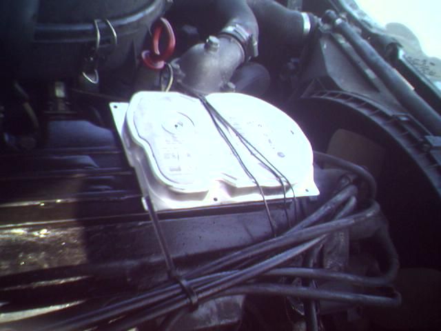 Pictures sent by users (40 pics)