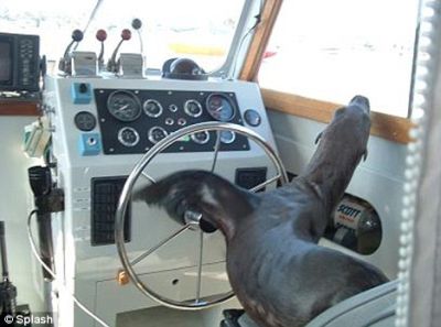 Curiosities and bonus pictures Curiosities and bonus pictures