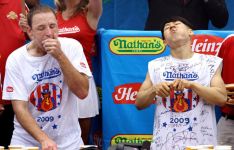 Curiosities and bonus pictures