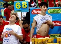 Curiosities and bonus pictures Curiosities and bonus pictures