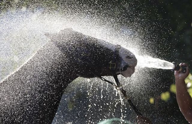 Daily picdump (138 pics)