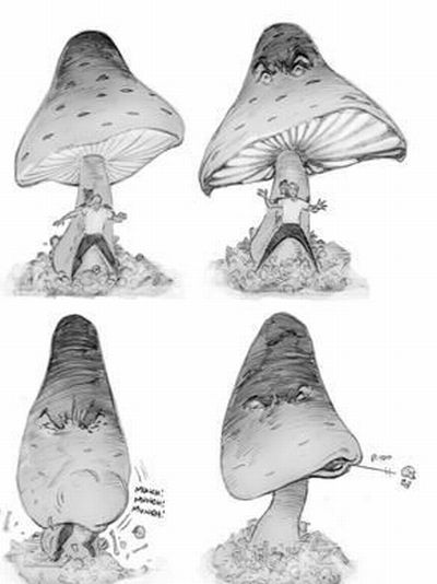 Daily picdump (138 pics)