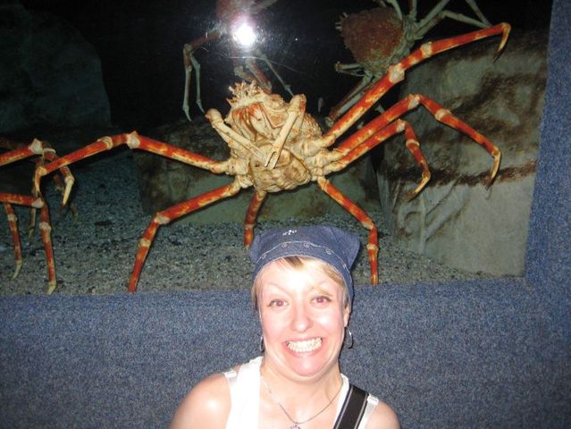 Daily picdump (138 pics)