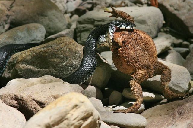 Daily picdump (138 pics)