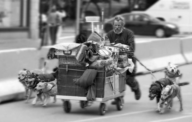 Daily picdump (138 pics)