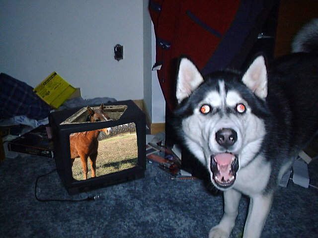 Daily picdump (138 pics)