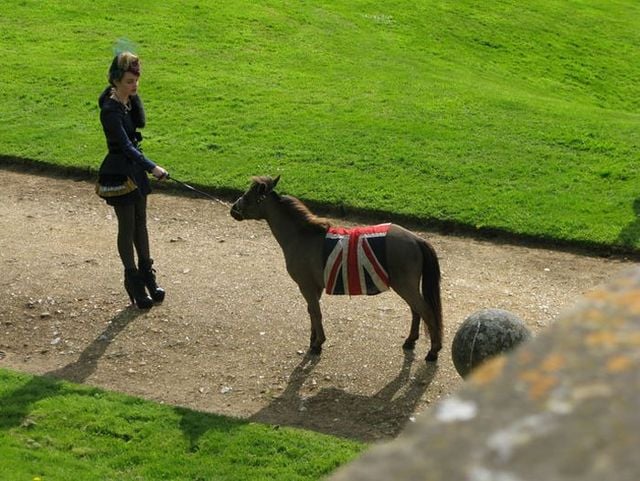 Curiosities and bonus pictures