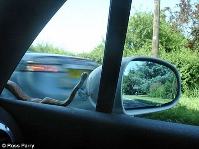 Daily picdump (103 pics)