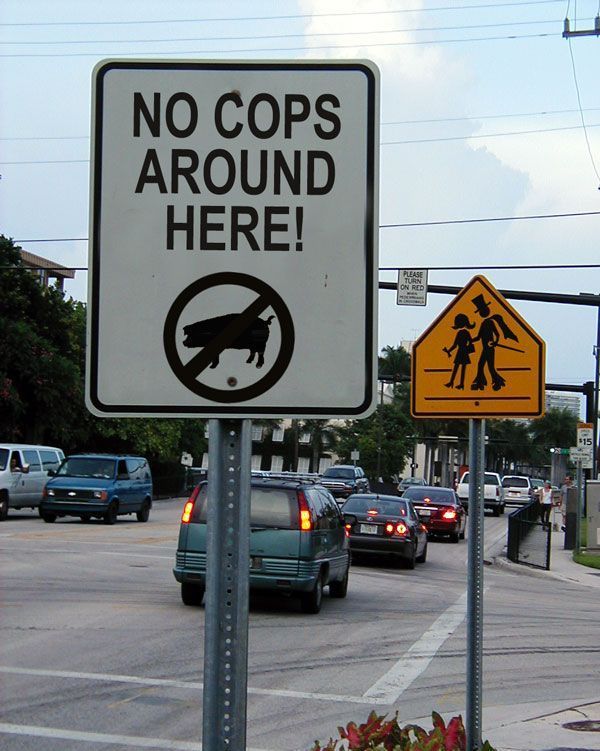 Daily picdump (103 pics)