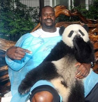 Curiosities and bonus pictures