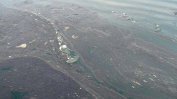 Curiosities and bonus pictures