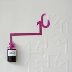 Curiosities and bonus pictures