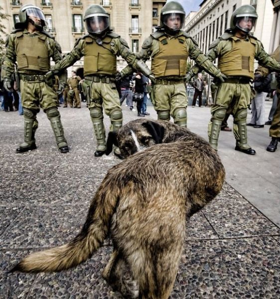 Daily picdump (103 pics)