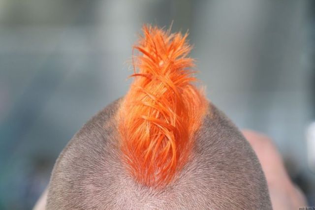 Daily picdump (103 pics)