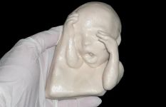 Curiosities and bonus pictures