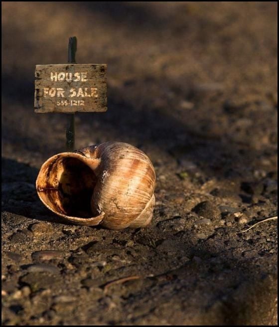 Daily picdump (102 pics)