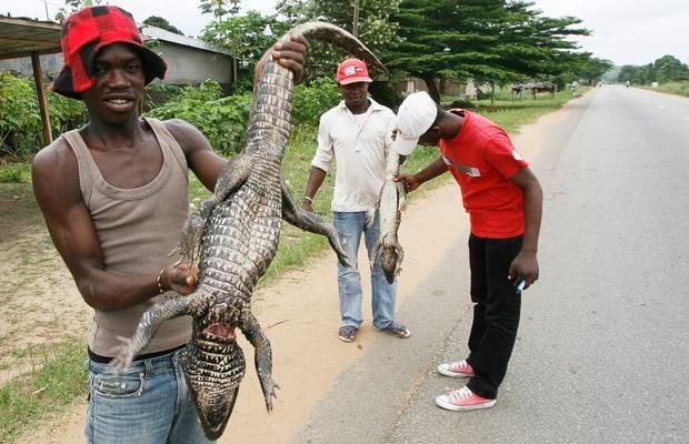 Daily picdump (102 pics)