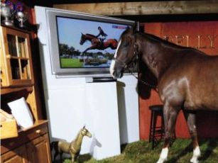 Curiosities and bonus pictures Curiosities and bonus pictures