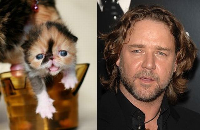 Daily picdump (106 pics)