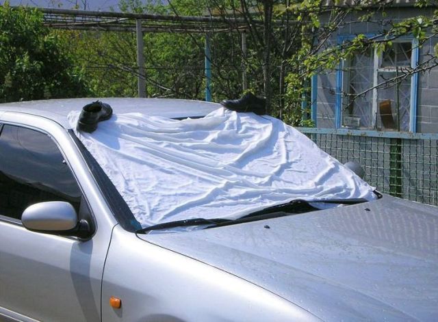 Daily picdump (106 pics)