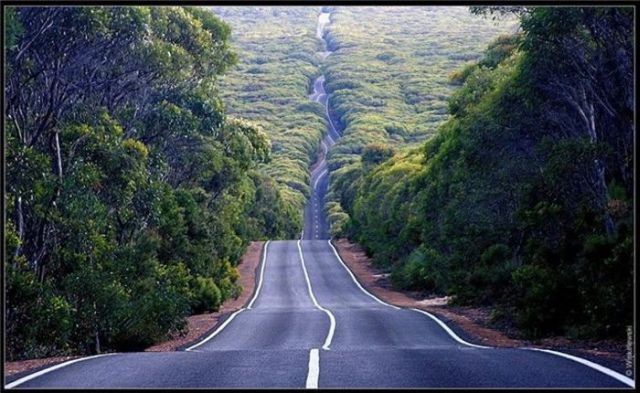 Daily picdump (106 pics)