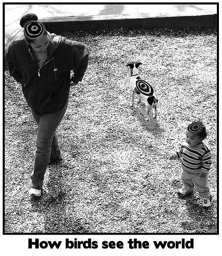 Daily picdump (106 pics)