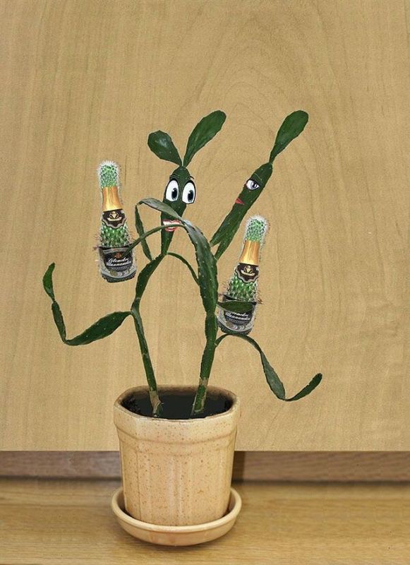 Daily picdump (106 pics)