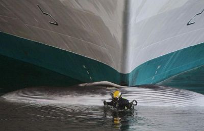 Curiosities and bonus pictures