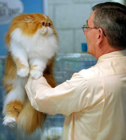 Daily picdump (127 pics)