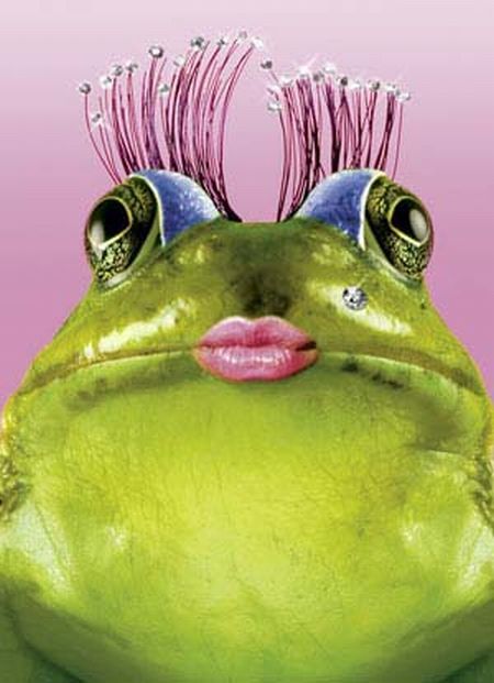 Daily picdump (127 pics)